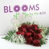 Rose Bouquet (12 Stems) (Red) (Box/6) : Wholesale Flowers : Floral Supplies