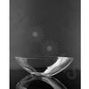 4 Inch H X 5 Inch X 15 Inch Clear Boat : Wholesale Flowers : Floral Supplies