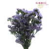 Statice Lavender : Wholesale Flowers : Floral Supplies