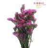 Statice Pink : Wholesale Flowers : Floral Supplies