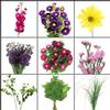 Blooms Pretty in Pink Wildflower Pack : Wholesale Flowers : Floral Supplies