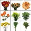 Pumpkin Patch Wildflower Pack : Wholesale Flowers : Floral Supplies