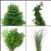 Classic Greens Bulk Pack : Wholesale Flowers : Floral Supplies