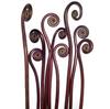 Fiddlehead Fern : Wholesale Flowers : Floral Supplies