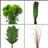 Sleek Greens & Fillers Bulk Pack - Mini : Wholesale Flowers : Floral Supplies