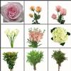 Whimsical Pink & Peach DIY Wedding Flower Pack : Wholesale Flowers : Floral Supplies