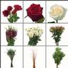 Holiday Red, Green & White Wedding Flower Pack : Wholesale Flowers : Floral Supplies