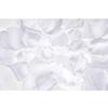 Silk Rose Petals White : Wholesale Flowers : Floral Supplies