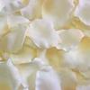 Rose Petal Box Cream : Wholesale Flowers : Floral Supplies