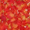 Rose Petal Box Orange : Wholesale Flowers : Floral Supplies