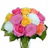 Rose Colors 50 Cm. : Wholesale Flowers : Floral Supplies