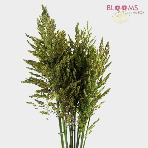 Wholesale Novelty Flowers Flowers for DIY Weddings