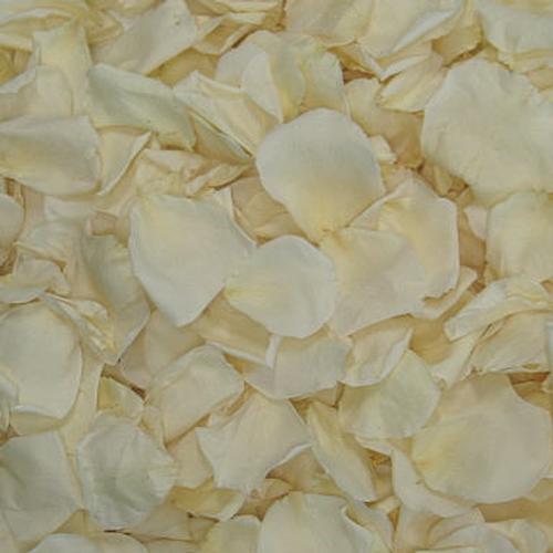 Wholesale Flower Petals Petals for DIY Weddings