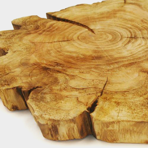 Wholesale Natural Wood Tree Trunk Decor Blooms by the Box