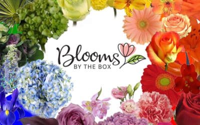 Designing Fresh Flower Arrangements:  Working the Flower Color Wheel