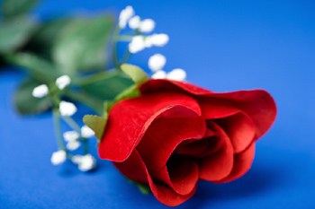 Fundraising with Flowers