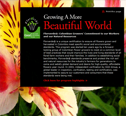 Staying Green in the Wholesale Flower Industry