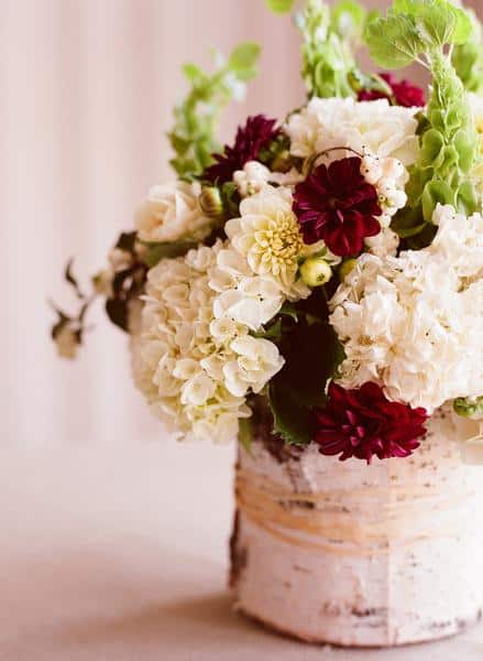 Hydrangea Hype