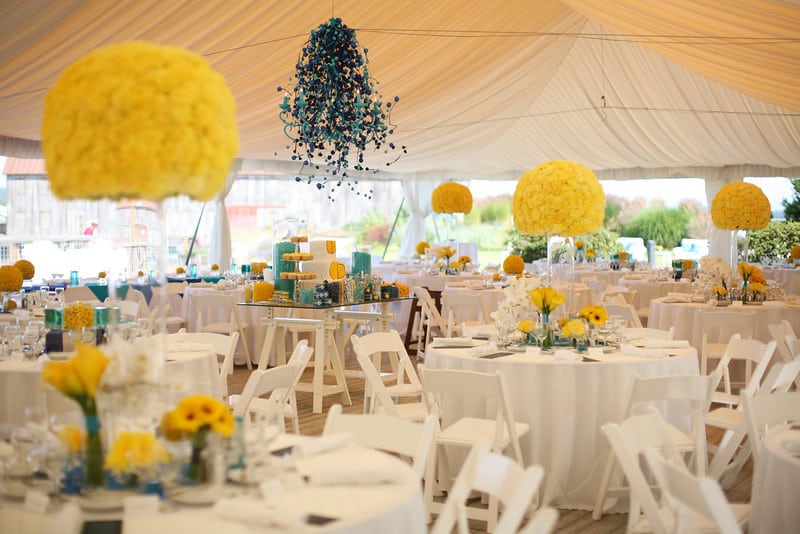 Carnation Pomander Designs