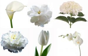 Select Your DIY Wedding Flowers