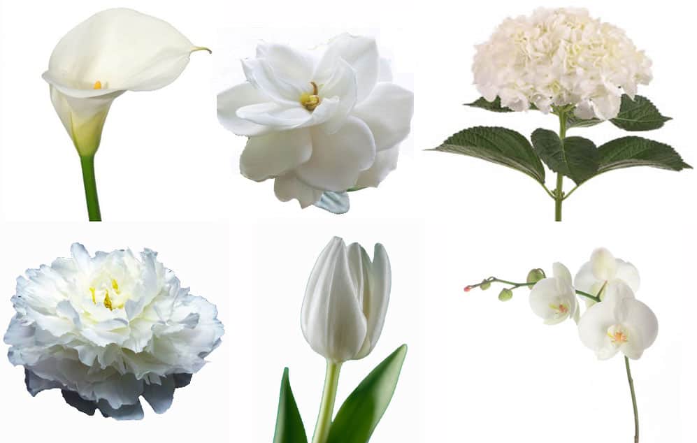 Select Your DIY Wedding Flowers