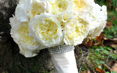 Blooms Features Marie Huss from Flower Sculpture!