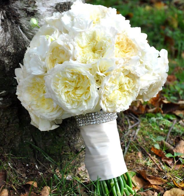 Blooms Features Marie Huss from Flower Sculpture!
