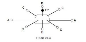 Floral Shape and Form horizontal