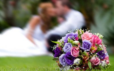 The “DIY Wedding Package Giveaway”! Win Flowers and Vases for Your Wedding!