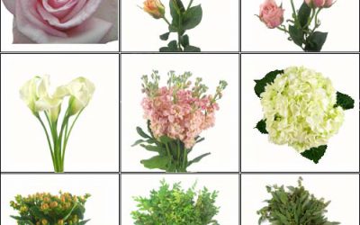 Brand New DIY Wedding Flower Packs! Trendy Color Designed Flower Combos.