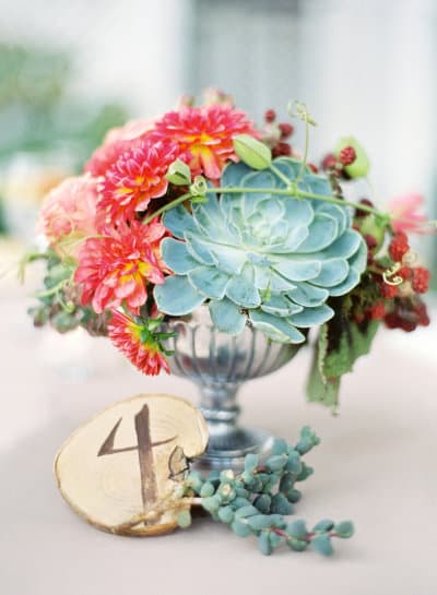 Succulent Centerpiece