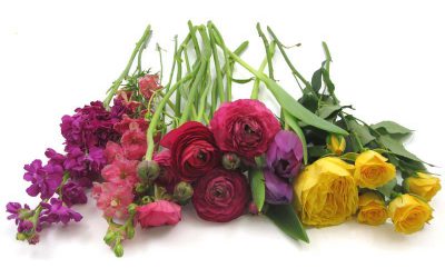 DIY Wedding Flowers – Colorful Bud Vase Centerpieces