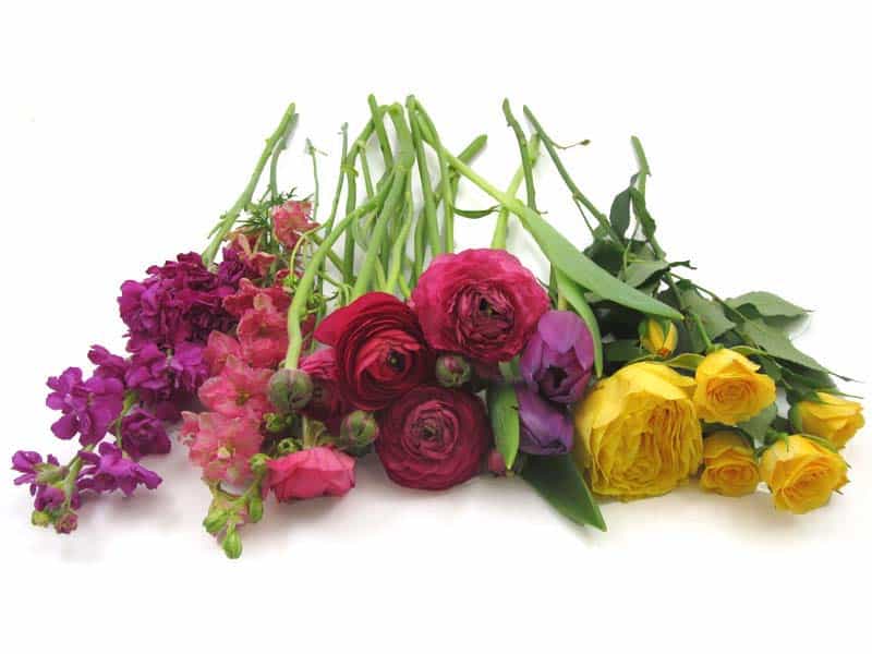 multi colored flowers for Spring and summer provide an abundance of vibrant flowers that look incredible in colorful bud vase centerpieces project