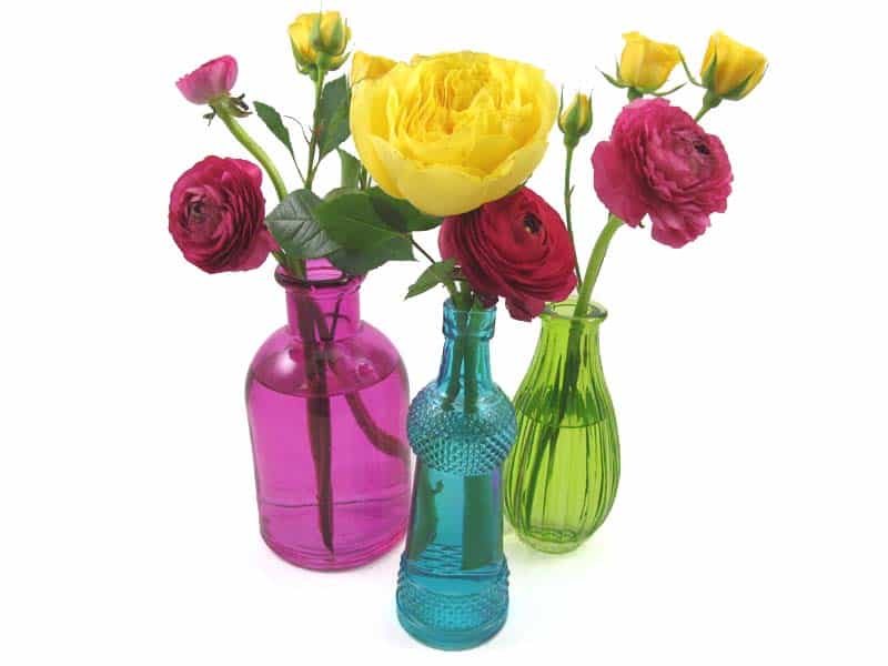 4 Add Ranunculus
