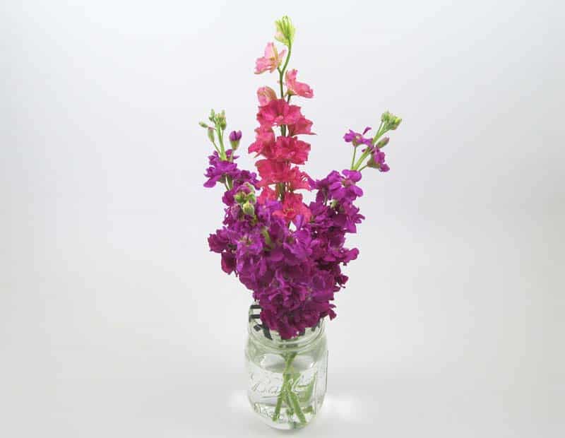diy centerpieces adding floral stock larkspur