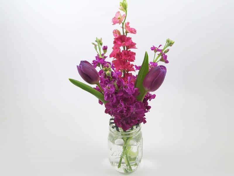 Add Tulips