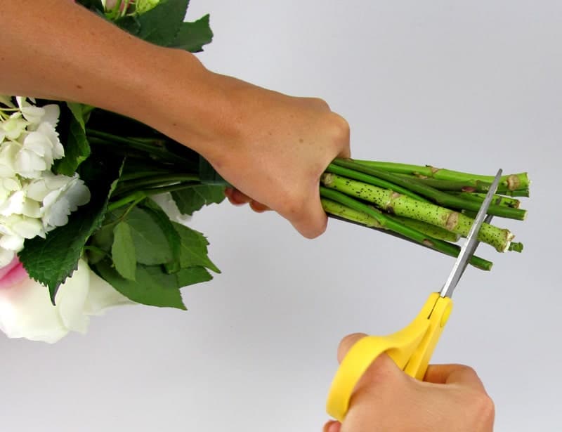 Cutting the stems