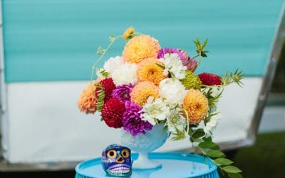 Who Loves Dahlias?