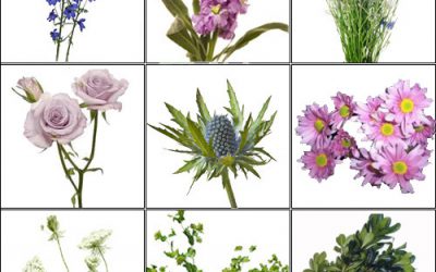 August is Wildflower Wedding Month!