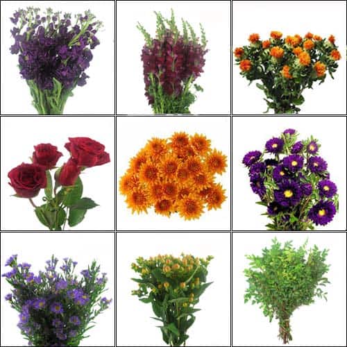 Rustic Fall Wedding Flowers Country Plum Harvest Fall Wildflower Pack