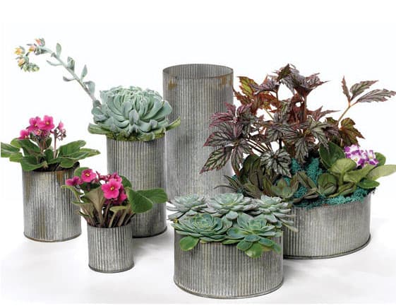 Zinc Vases