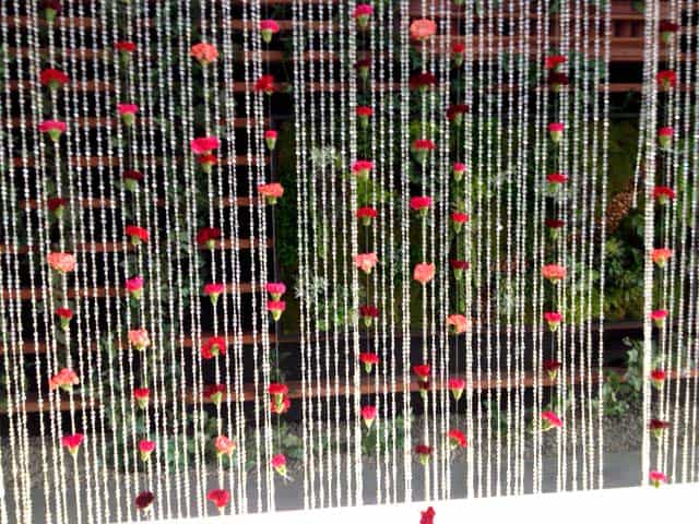 DIY Carnation Back-drop