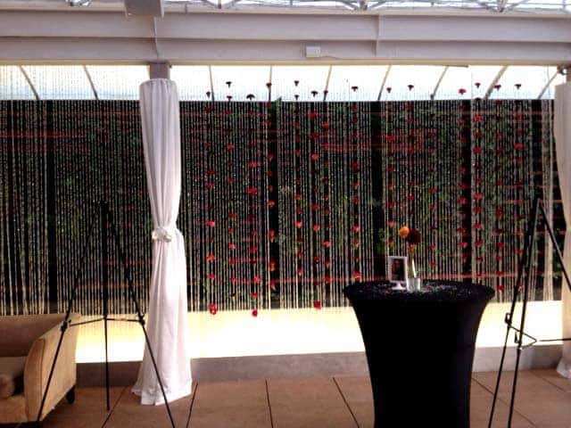 DIY Carnation Backdrop 2