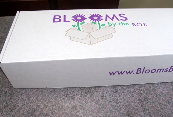 Transporting Arrangements