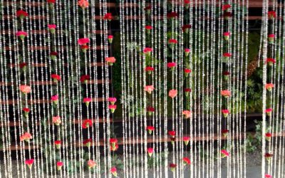 Do-It-Yourself Event Flowers with a Carnation Backdrop!