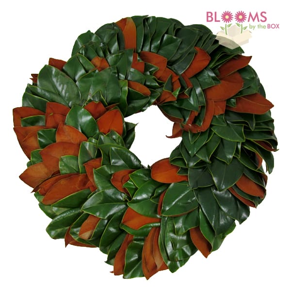 Magnolia-Wreath-14inch
