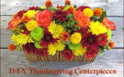 Do It Yourself Thanksgiving Flowers – Holiday Home Decor