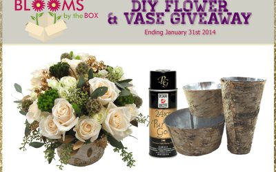 One Week Left! Enter our DIY Flower & Vase Giveaway!
