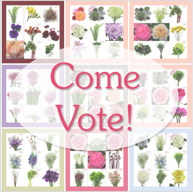 Come vote - giveaway infographic