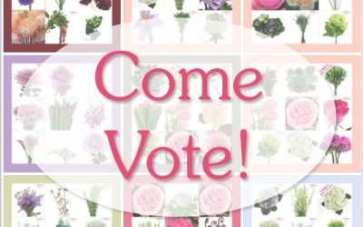 We Need Your Vote!